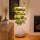 A Lettuce Grow growing stand placed in the corner of a living room
